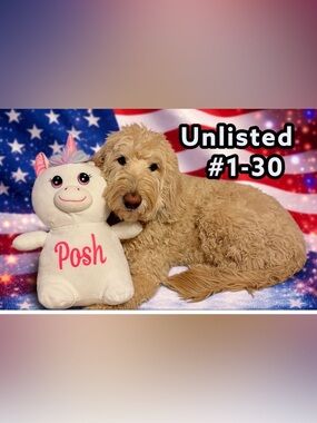 Tour of Friends Unlisted item - as described in live show. I hope you love it💖